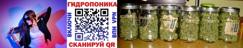 Канабис марихуана  блэк спрут онион  Кунгур 